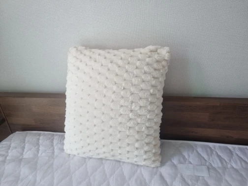 1pcs Pineapple Grid Turtle Pattern 3D Soft Plush Throw Pillowcase,Cream White For Living Room Sofa Bedroom Home Room Decor photo review