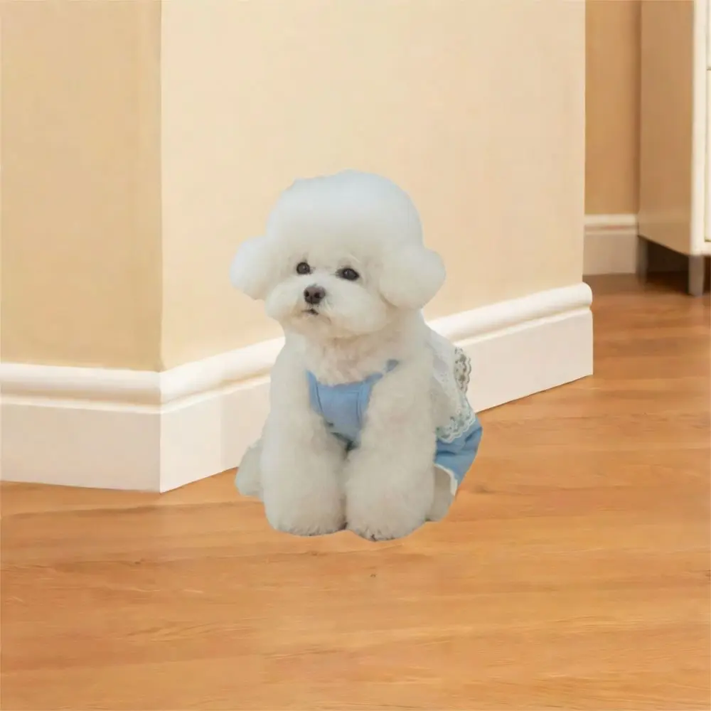 편안하고 부드러운 애완동물 레이스 점프수트 패션 얇은 디자인 강아지 잠옷 통기성 좋은 강아지 옷 여름