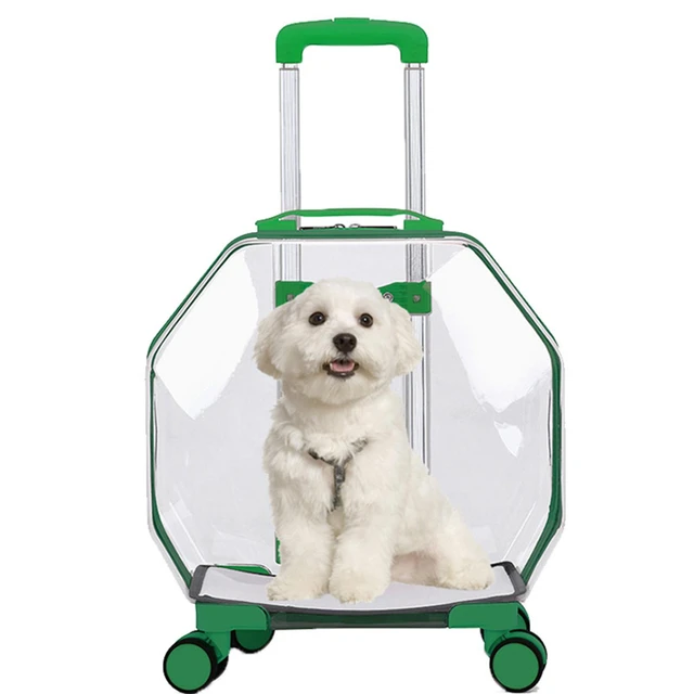 Foldable Plastic Pet Travel Carrier - Travel in Style and Comfort