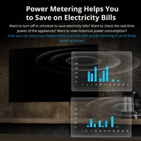 SONOFF DUAL R3 2 Gang Dual Relay Module DIY MINI Smart Switch Power Metering Smart Home via eWeLink Alexa Google Yandex Alice 2