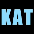 Kaston Valve Store
