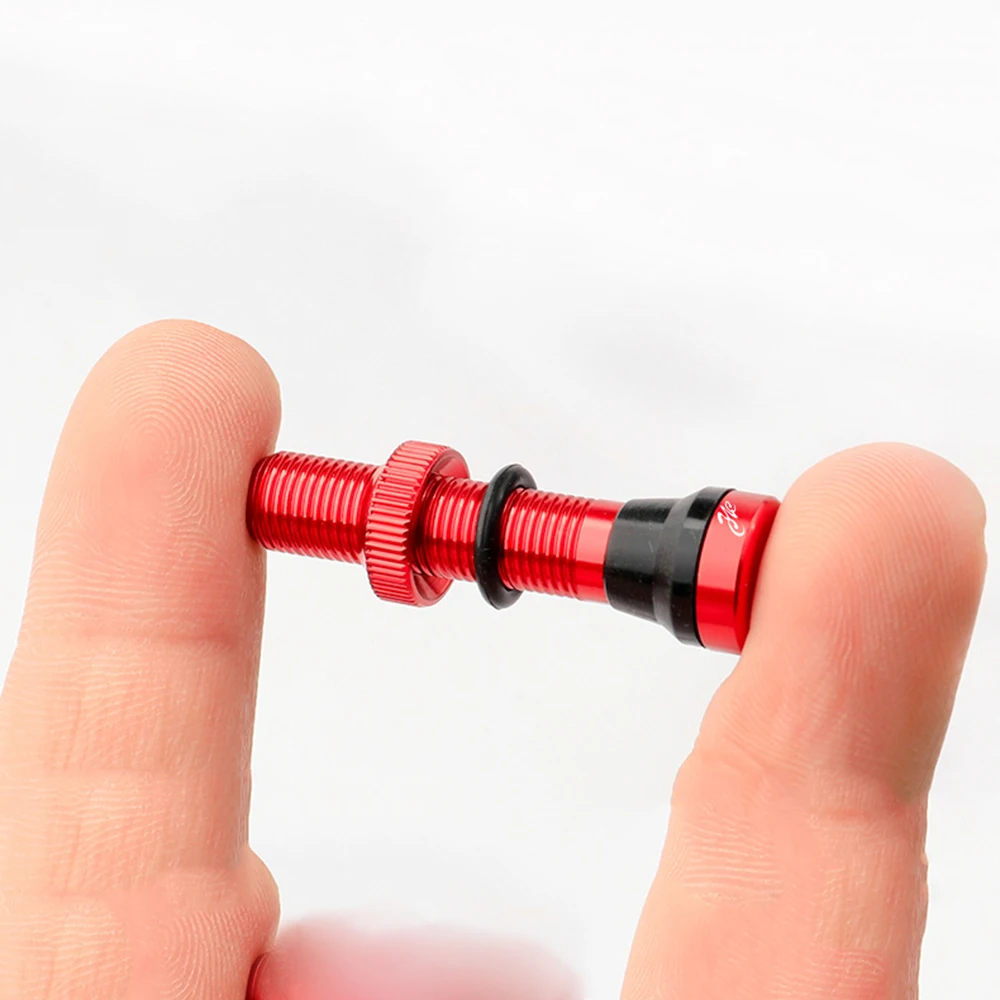 Рисунок 3 - Комплект бескамерных клапанов