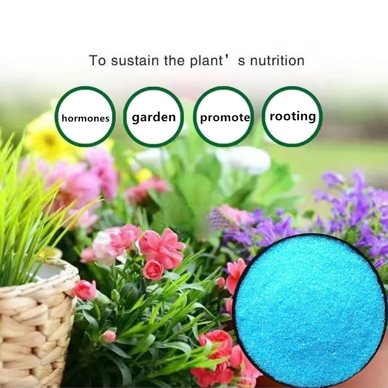 Fertilizante soluble en agua de jardín para plantas, flores, bonsái, + TE 20-20-20 suculentas, fertilizante NPK compuesto con elemento traza