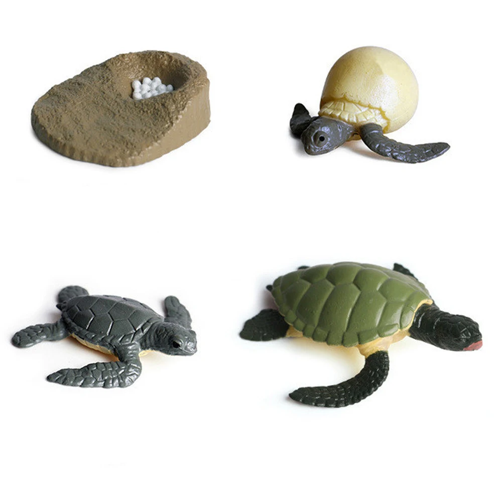 Newest Simulation Animals Growth Cycle Model Bee Spider Butterfly Action Figures Figurine Cute Kids Baby Toy Figures Educational 6
