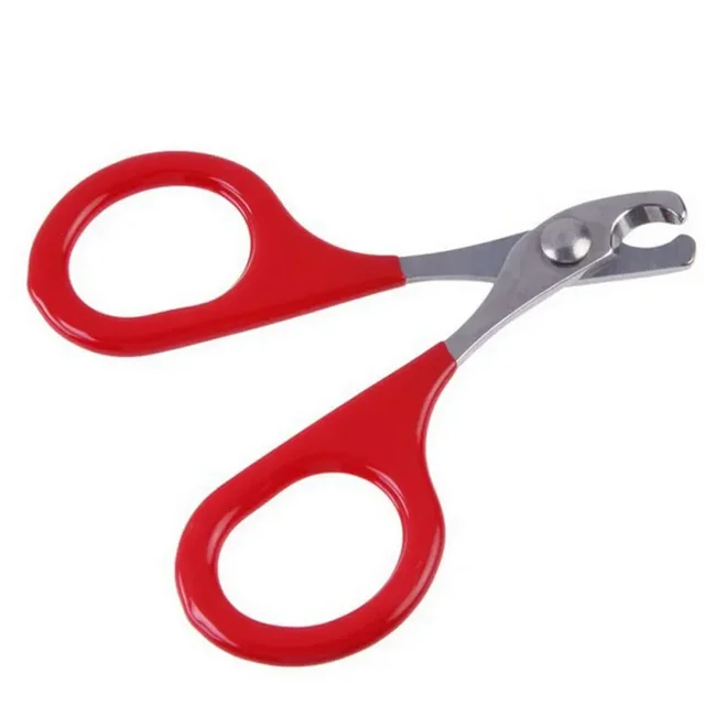 Pet Nail Clipper Scissors Pet Dog Cat Nail Toe Claw Clippers Scissors Trimmer Grooming Tools for Animals Pet Supplies Pet Nail Clipper Scissors Pet Dog Cat Nail Toe Claw Clippers Scissors Trimmer Grooming Tools for Animals Pet Supplies