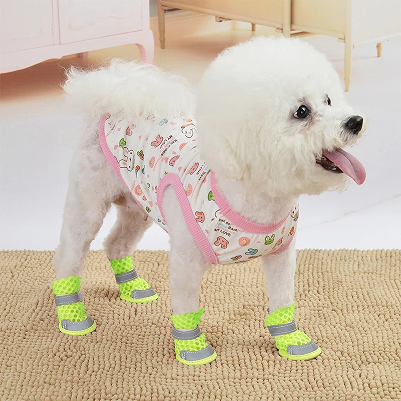 S981546c896d04b9aaf0cbd17667af4afb