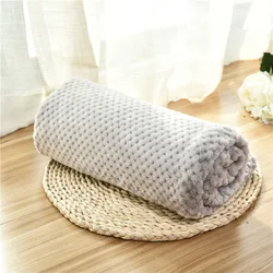 Cozy Fleece Pet Blanket - Ultra-Soft Plush Throw - S 60X40CM (Light Grey)