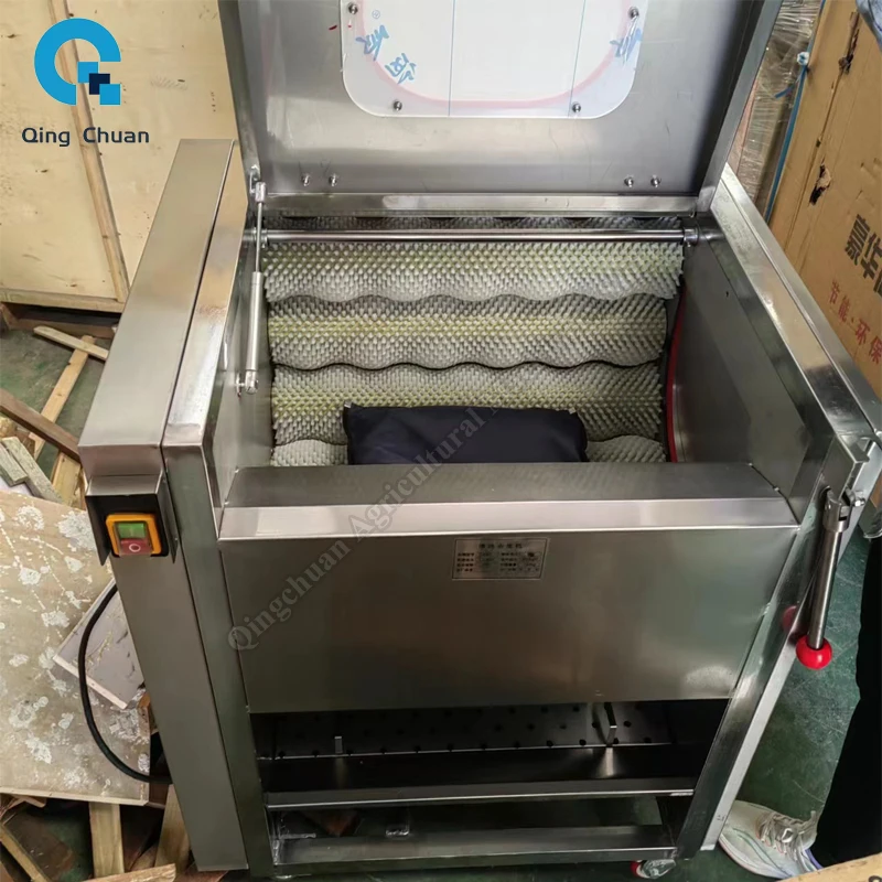 Fruit Vegetable Cleaning Peeling Machine Fully Automatic Brush Root Vegetable Carrot Ginger Potato Roller Peeler