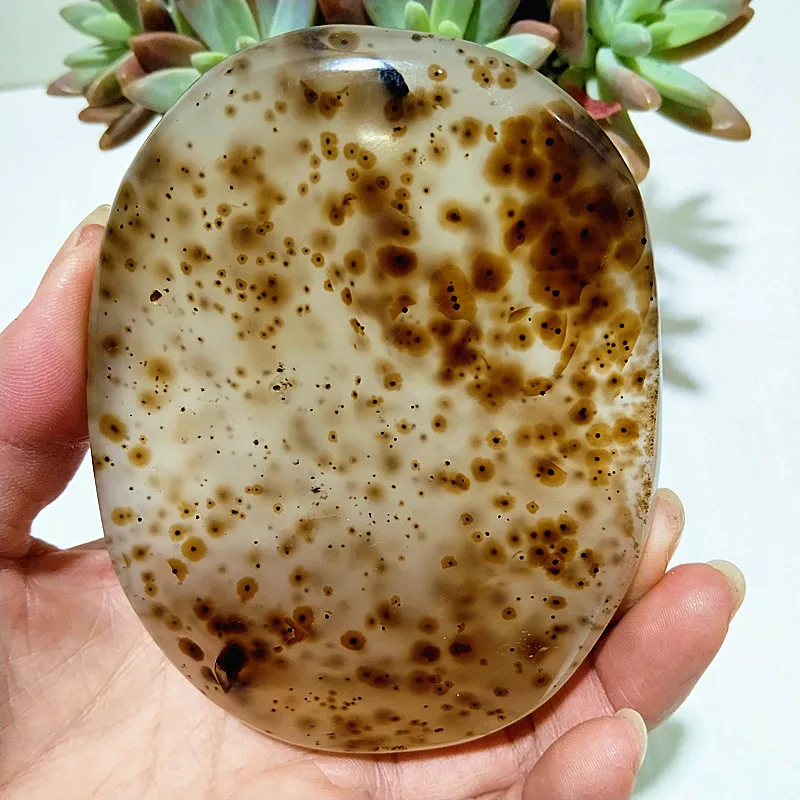 AAA Natural Stone Waterplant Plant Small Tree Agate Palm Stone Spiritual Meditation Yoga Cure Feng Shui Crystal Room Ornament 4