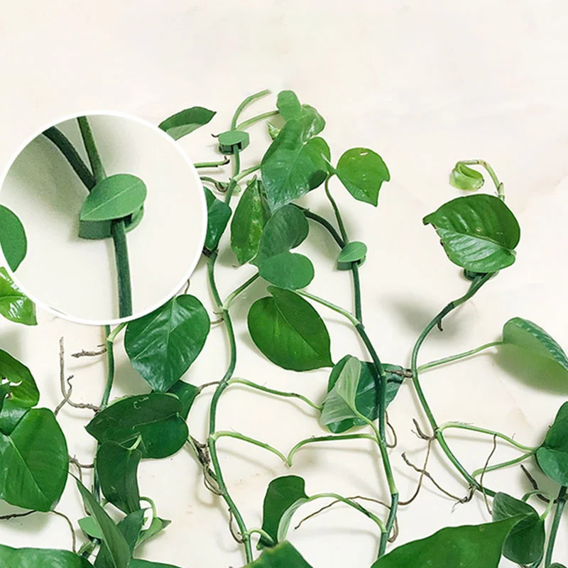 10pcs Plant Fixture Clip Plant Climbing Wall Self-Adhesive Fastener Tied Fixture For Outdoor Indoor Plants Medium-size Plants
