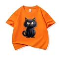 Orange H1567
