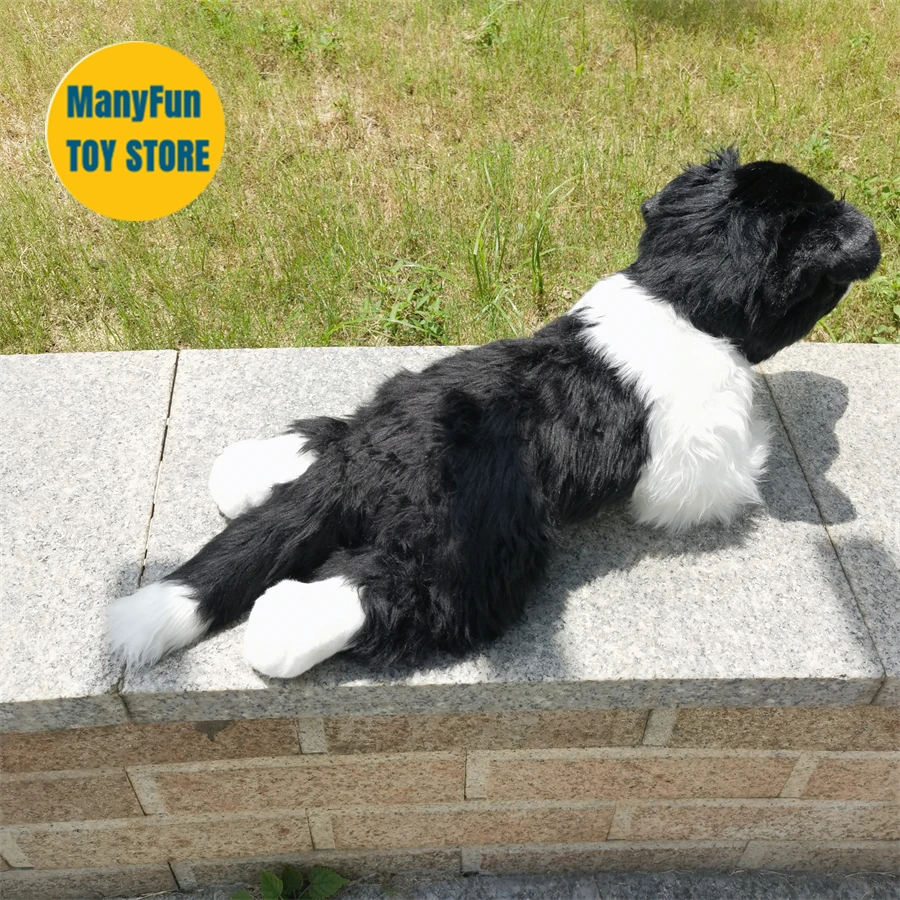 S9821176ba907496288bc83f0208c81a6C - Border Collie Gifts