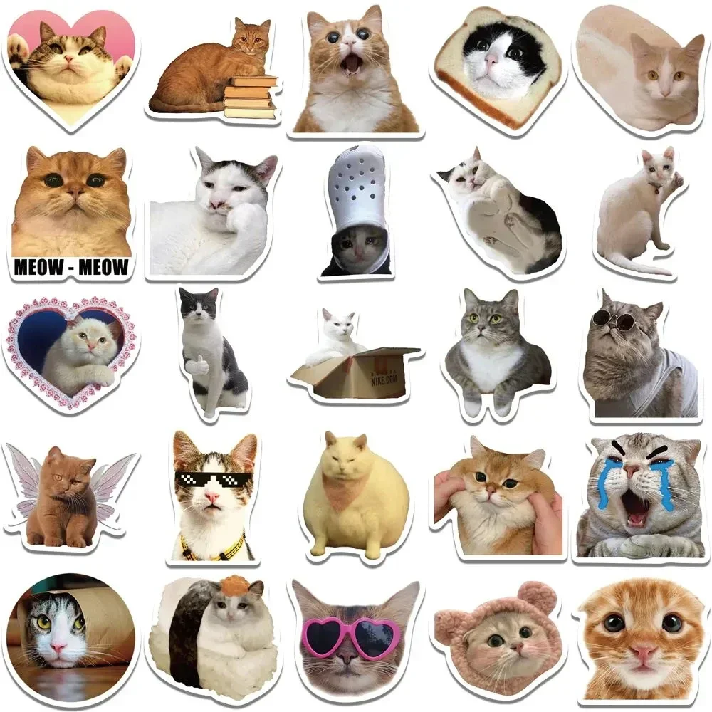 50Pcs Kawaii Funny Cat Stickers Pack Waterproof Laptop Phone Scrapbooking Motorcycle Car Korean Decal Sticker for Kids Toys 5