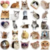 50Pcs Kawaii Funny Cat Stickers Pack Waterproof Laptop Phone Scrapbooking Motorcycle Car Korean Decal Sticker for Kids Toys 5