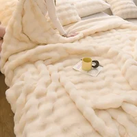 Winter light luxury rabbit plush blanket thickened double-sided velvet throw blanket plush nap blank 2