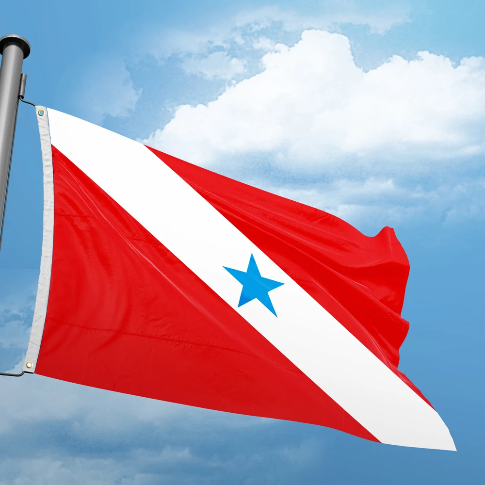 Bandiera do Pará em Emoji: Como Escolher a Bandeira Real que Representa  Autenticamente o Estado?, image size:1000x1000