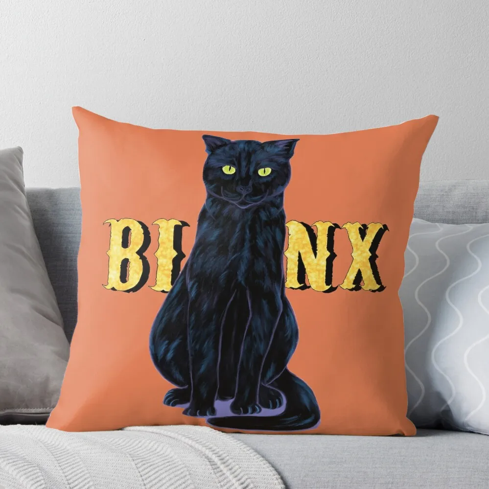 

Black Cat Binx Halloween Throw Pillow Cushions Cover ornamental pillows