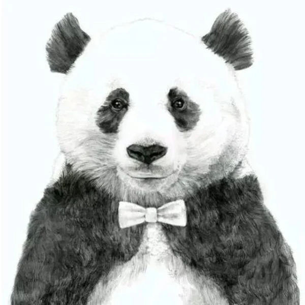 Mr. Panda Blocks Store