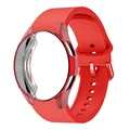 Red Buckle