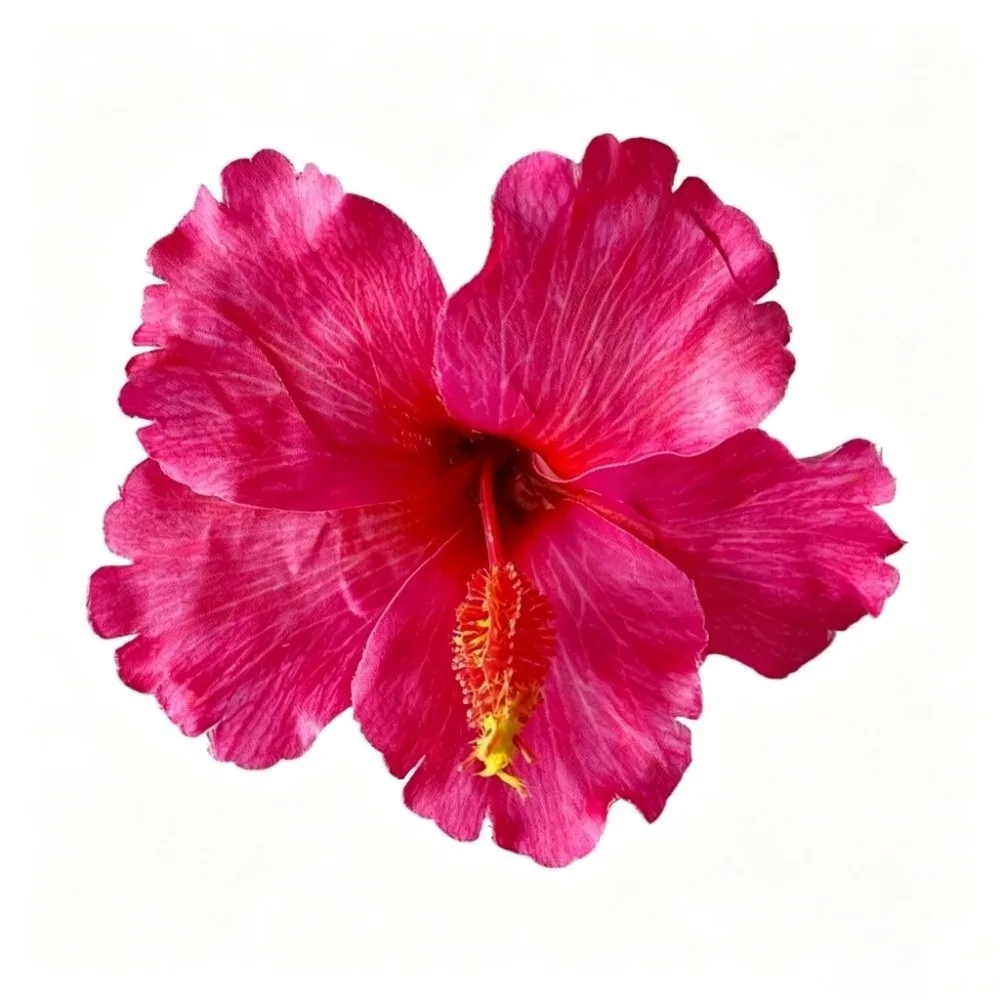 Bohemian Style Hibiscus Flower Hair Clip - Gentle Hold Hair Accessory