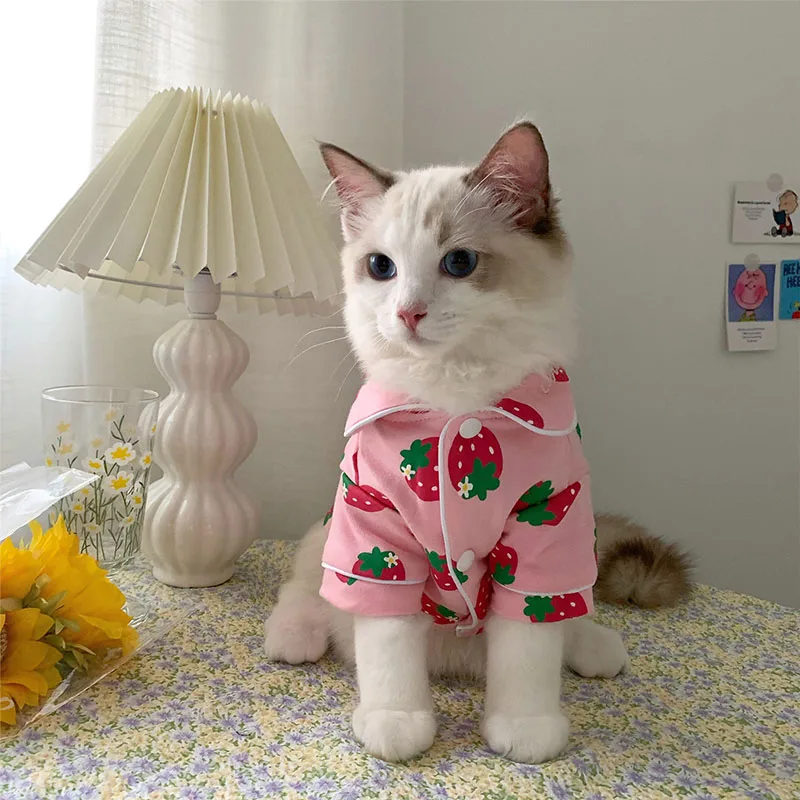 Spring Cat Costume Cute Cozy Pet Clothes Katten Kedi Hoodie