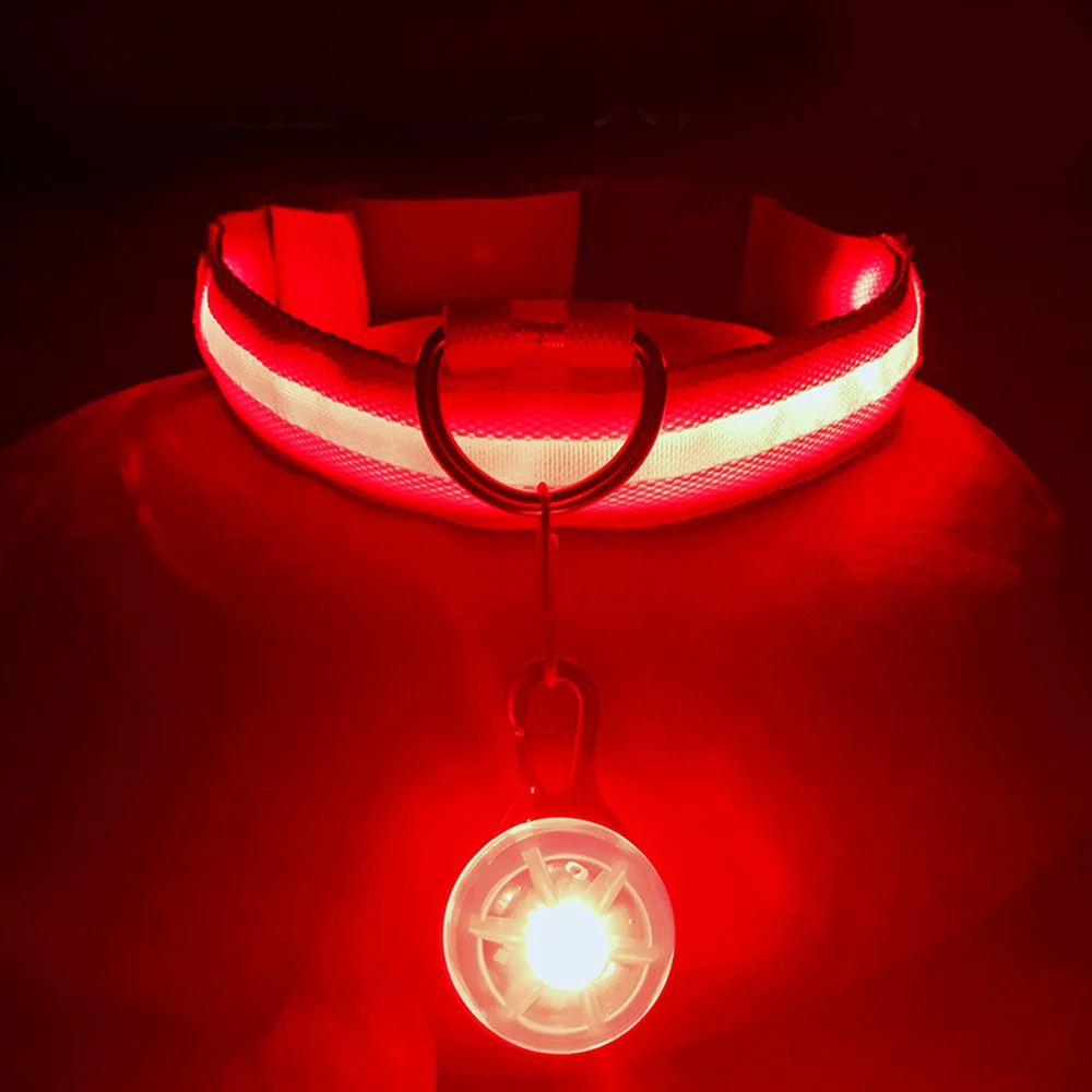 USB Rechargeable LED Dog Collar – Night Safety 5