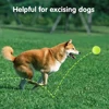 12 PCS Tennis Launcher Elastic Ball for Small and Medium Size Dogs Playing Fetch Latex Ball 2inch Dog Toy Portable Tennis Throw 5