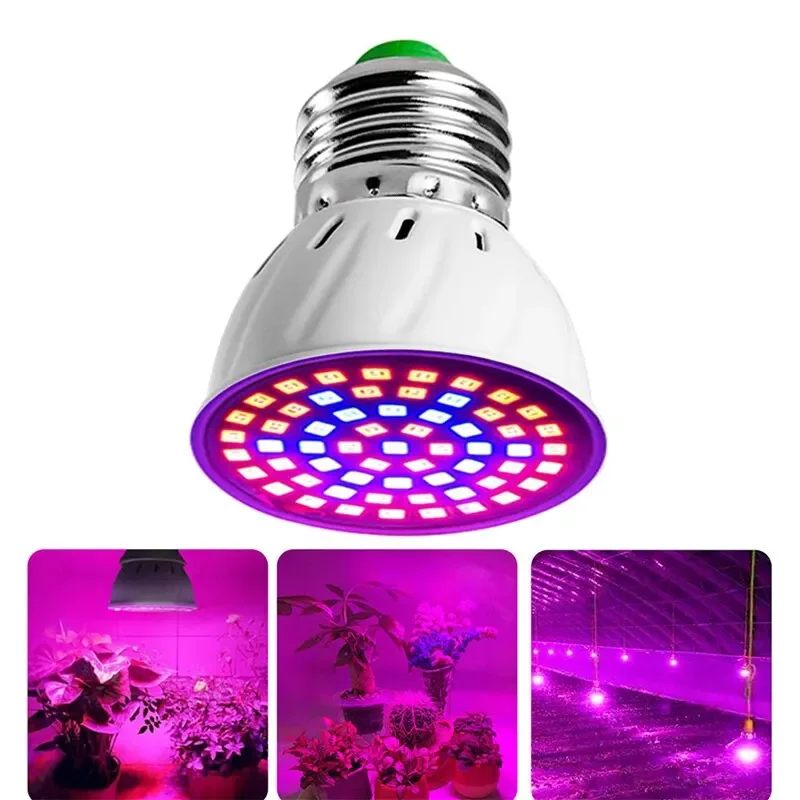 220V E27 60LEDs Plant Grow Light for Greenhouse Hydroponics led grow light
