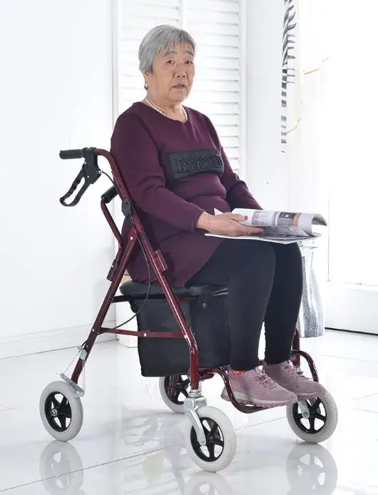 Рисунок 5 - Ручная тележка может толкать и сидеть