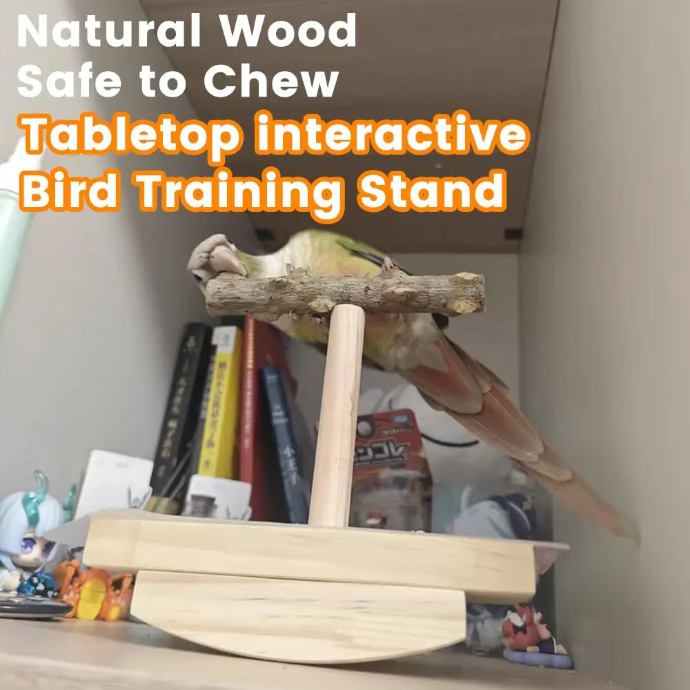 Natural Wooden Bird Training Frame Bird Educational Toys Parrot Perch Wooden Platform Playground Game Station Frame