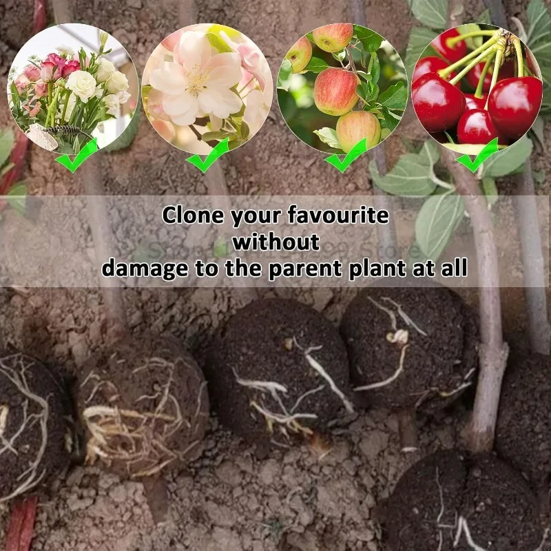 Reusable Plant Rooting & Propagation Ball