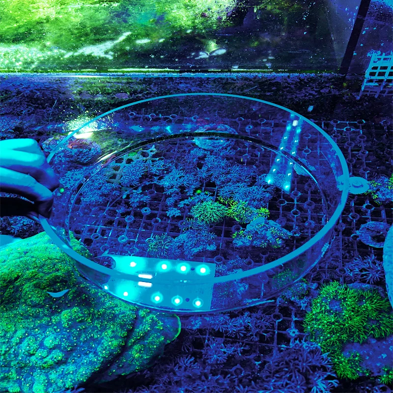 Acrylic aquarium surface coral observation mirror photography mirror anti-interference magnifying glass,aquarium observation mirror