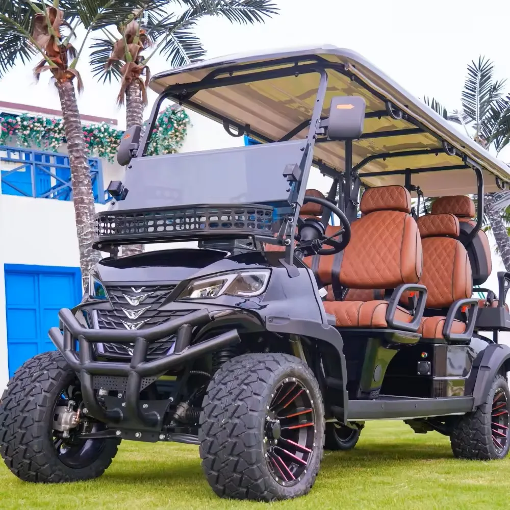 Factory Golf Cart Body Seat Color Free Customization 2 4 6 8 10 Seats Optional Dot Certified Glass Wheels Golf Cart Manual