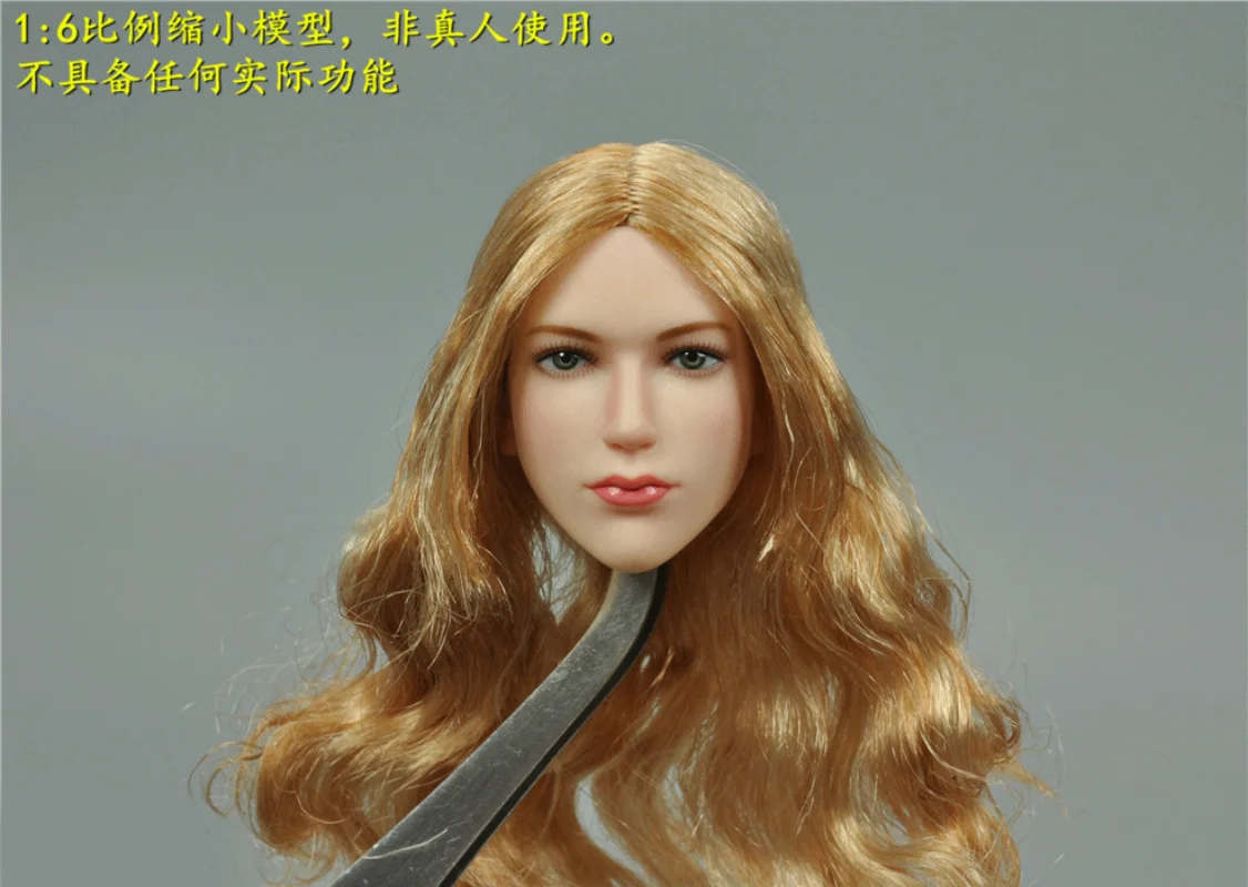

1/6 Scale Female Soldier VC-TJ-03 White-skinned Headsculpt Model