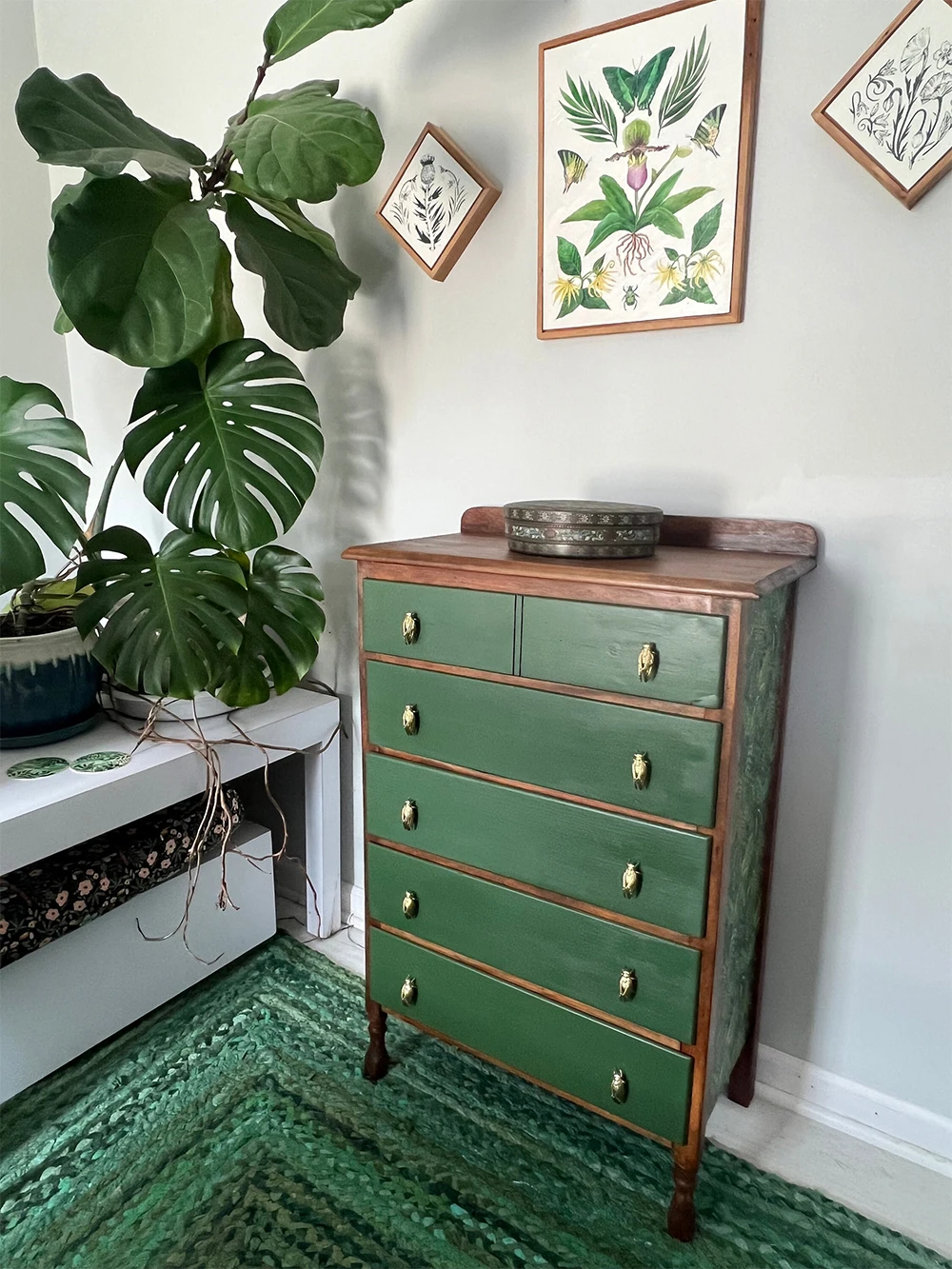 de insetos, Beetle Design, Alças exclusivas Dresser, alças decorativas