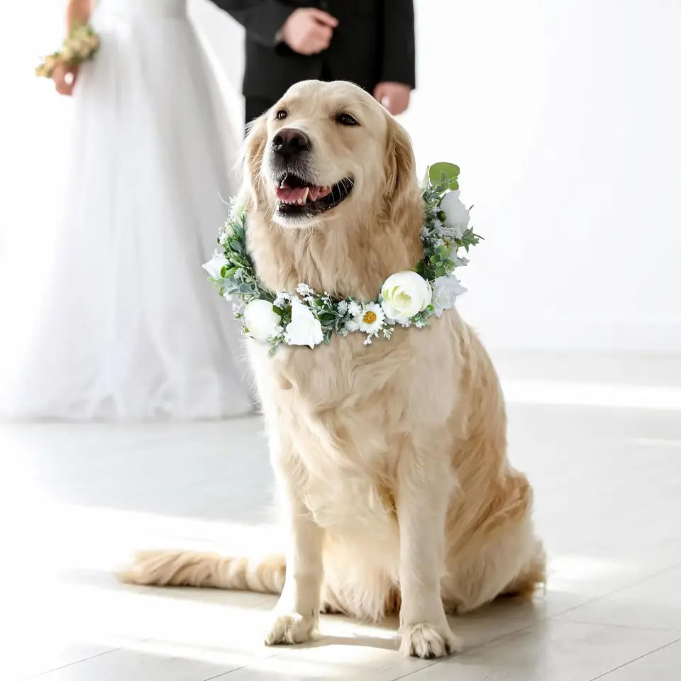 Collare Matrimonio Per Cane Con Fiori E Guinzaglio Perle - Bianco, Taglia Media - Foto 13