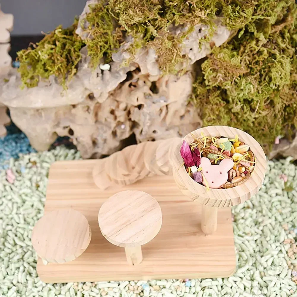 

Pet Bowl Feeding Food Anti-turning Bowl For Round Squirrel Hamster Wooden Natural Small Supplies Landscaping Hedgehog