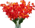 Orange Flame