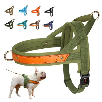 SFP Soft Rembourré Chien sans côtes, GlaCasting, Entraînement pour animaux de compagnie, Durable, Petit, Moyen, Grand chien, Bouledogue
