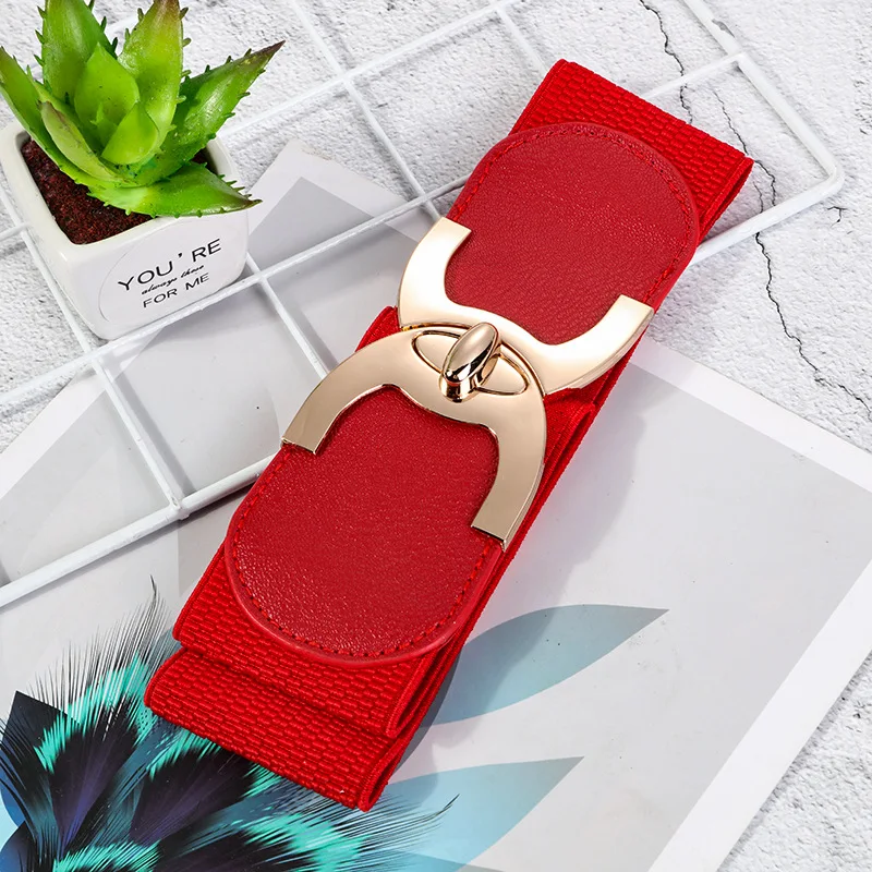 Breite elastische Gürtel für Frauen Stretch Damen Hüftgurt mit Mode Gold Schnalle, Vintage Classic Plus Size Gürtel für Frauen – Detail 7