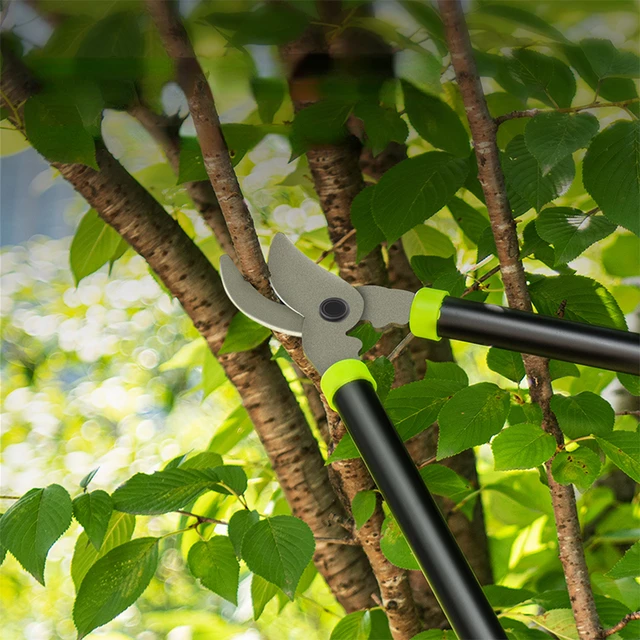 1 Pcs Kertészeti Szerszám Többfunkciós Loppers Ollók Hosszú Távú Fogantyú Metsző Olló Háztartás Magas Ágú Sövény - Image 2