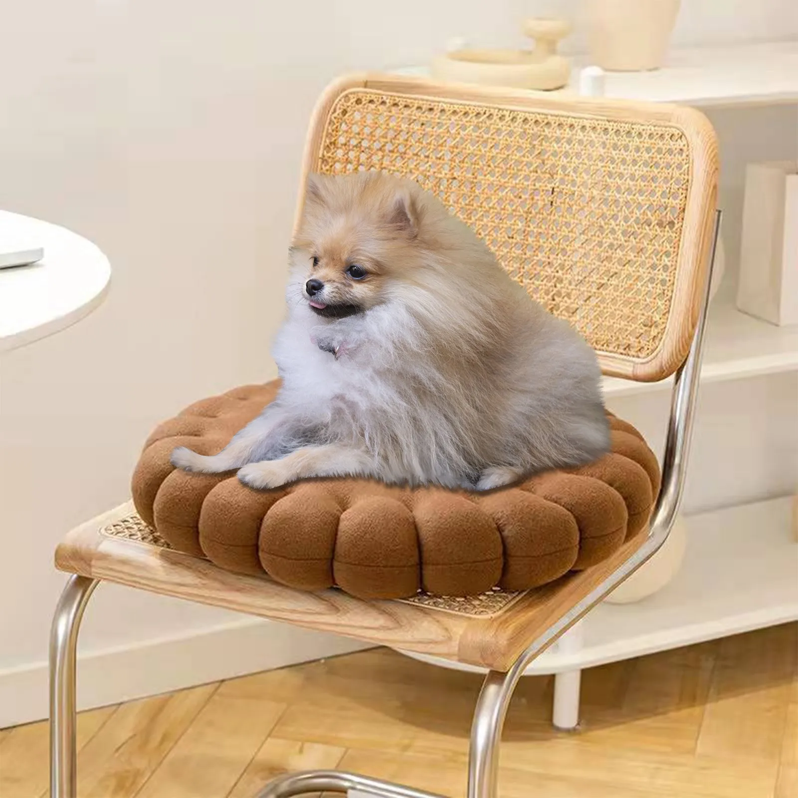 �ܻ� ���� �̺� ��Ʈ, ���� ��Ƽ�� �¼� ����, �ձ� �簢�� ���� �е�, Ȩ �ٴ� ����, â�� �е�, ���� ������