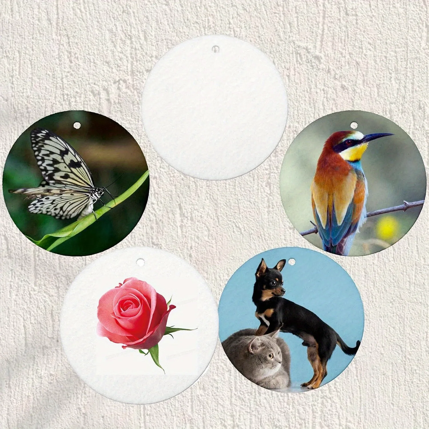 10/30/50pcs ��ȭ ���� û���� ���� - �ڵ��� �� ���� �� ź�� ��Ʈ���� �ִ� ���� DIY ������ ��Ʈ