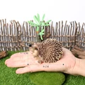 Hedgehog-10