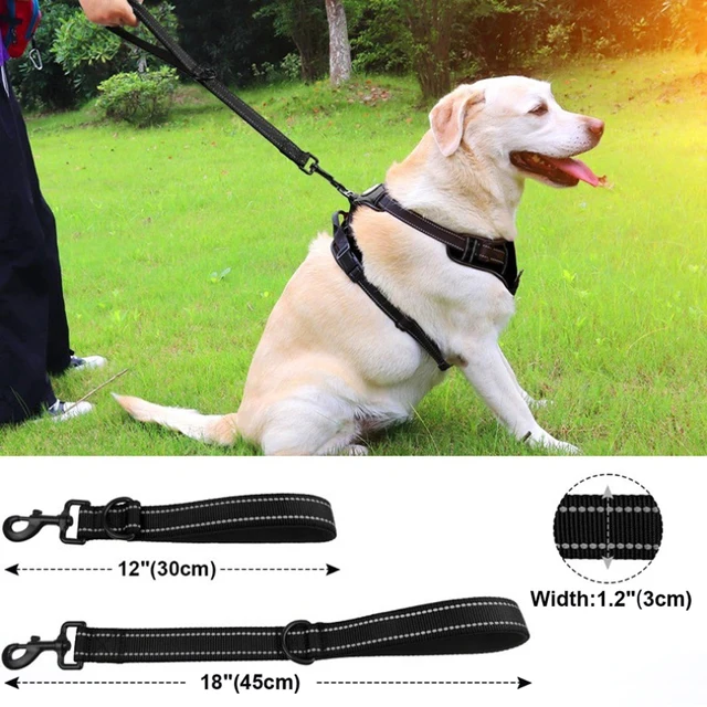 30/45/60cm Dog Leash Short Dogs Leash Nylon Leashes for Large Dog Walking With Zinc Alloy Lock Lockable 360 Degree Rotation 30/45/60cm Dog Leash Short Dogs Leash Nylon Leashes for Large Dog Walking With Zinc Alloy Lock Lockable 360 Degree Rotation