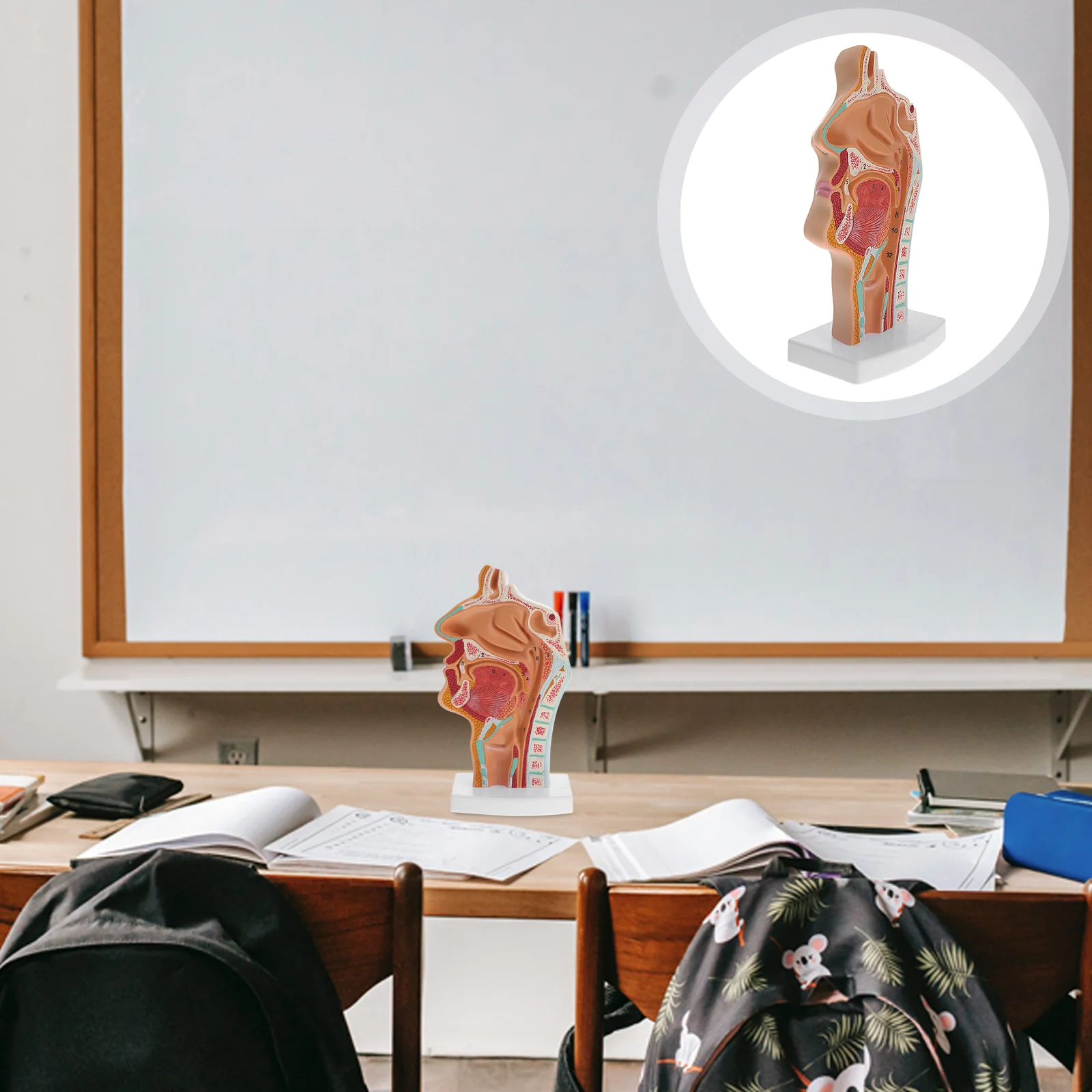

Человеческая носовая полость ротовой полости Highstrung врачи офисные украшения моделирование ларинкса и лекарства инструмент для школы обучающий ПВХ анатомический