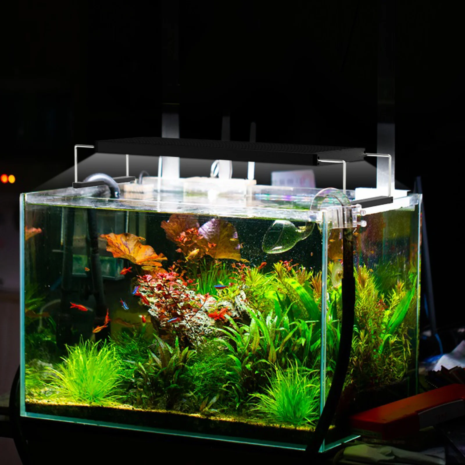 Chihiros WRGB2 60 10周年モデル Chihiros WRGB II 10th Edition LED Light - Chihiros Aquatic