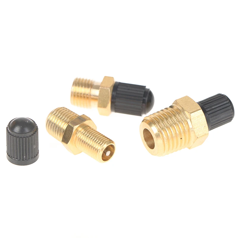 Anti-Corrosion Brass Schrader Tire Valve with Sealing Caps