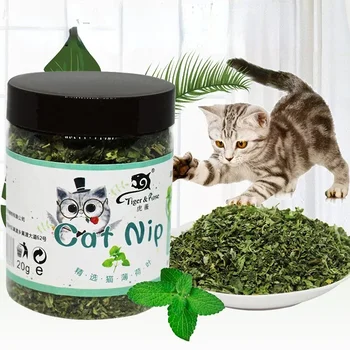 Organic Natural Catnip Interactive Toy 1