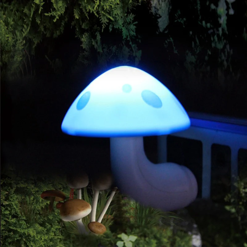 LED �߰� ���� ���� �� ���� ������ ����, ccontrol ����, 110-220V �÷��� ħ�� ����, Ȩ ����